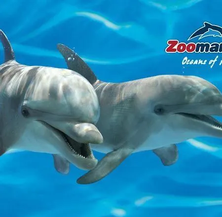 Casa de Férias Algarve House With Seaview And Pool